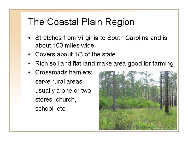 The Coastal Plain Region • Stretches from Virginia to South Carolina and is about