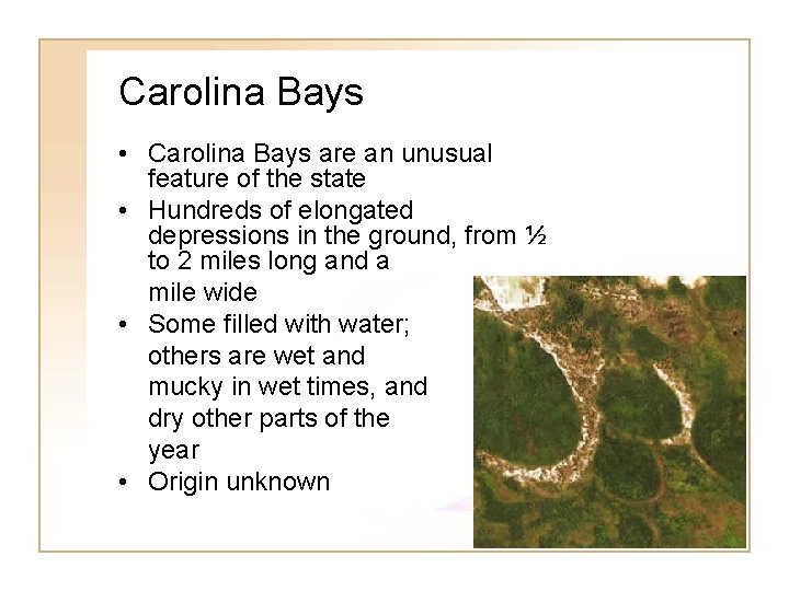 Carolina Bays • Carolina Bays are an unusual feature of the state • Hundreds