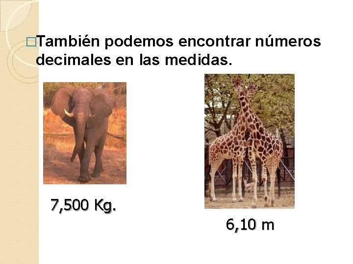 �También podemos encontrar números decimales en las medidas. 7, 500 Kg. 6, 10 m �También podemos encontrar números decimales en las medidas. 7, 500 Kg. 6, 10 m