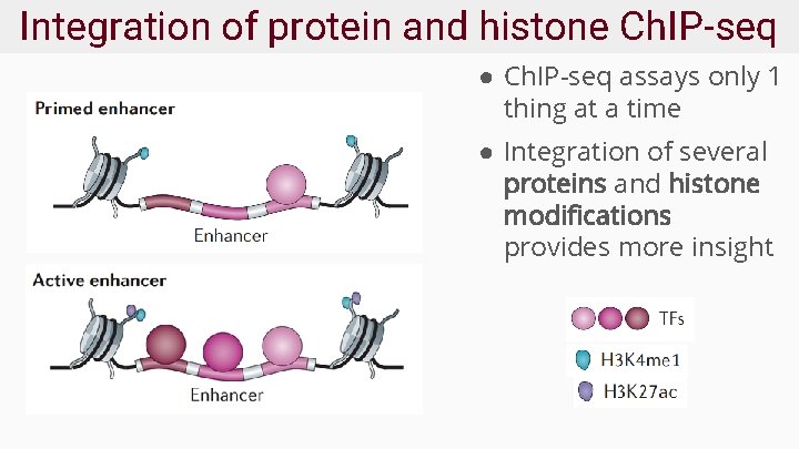Integration of protein and histone Ch. IP-seq ● Ch. IP-seq assays only 1 thing