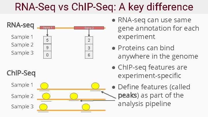 RNA-Seq vs Ch. IP-Seq: A key difference RNA-seq Sample 1 Sample 2 Sample 3