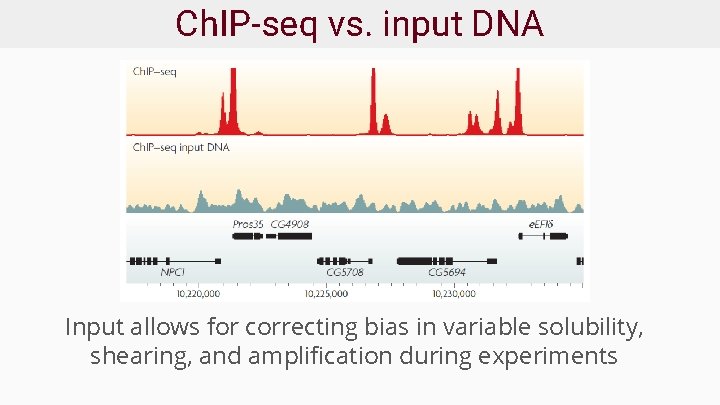 Ch. IP-seq vs. input DNA Input allows for correcting bias in variable solubility, shearing,