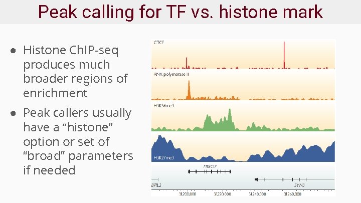 Peak calling for TF vs. histone mark ● Histone Ch. IP-seq produces much broader