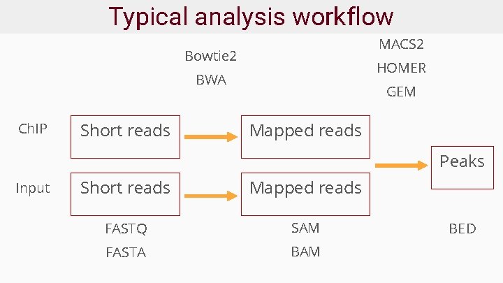 Typical analysis workflow MACS 2 Bowtie 2 HOMER BWA Ch. IP Short reads GEM