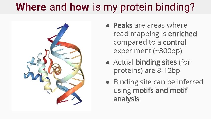 Where and how is my protein binding? ● Peaks areas where read mapping is