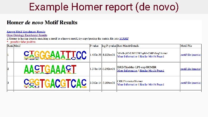 Example Homer report (de novo) 