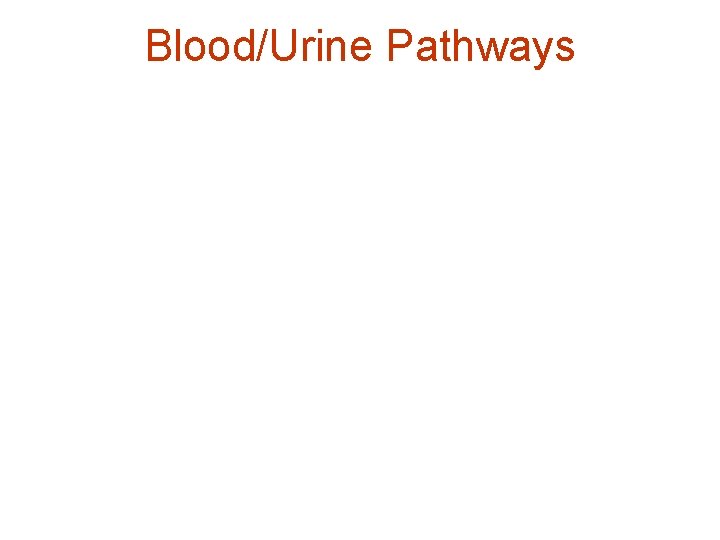 Blood/Urine Pathways 