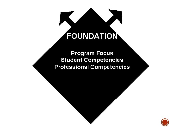 FOUNDATION Program Focus Student Competencies Professional Competencies FOUNDATION Program Focus Student Competencies Professional Competencies