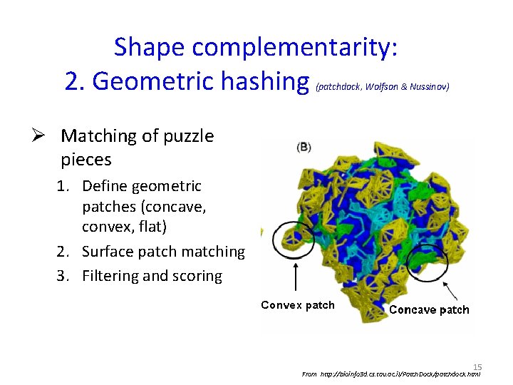Shape complementarity: 2. Geometric hashing (patchdock, Wolfson & Nussinov) Ø Matching of puzzle pieces