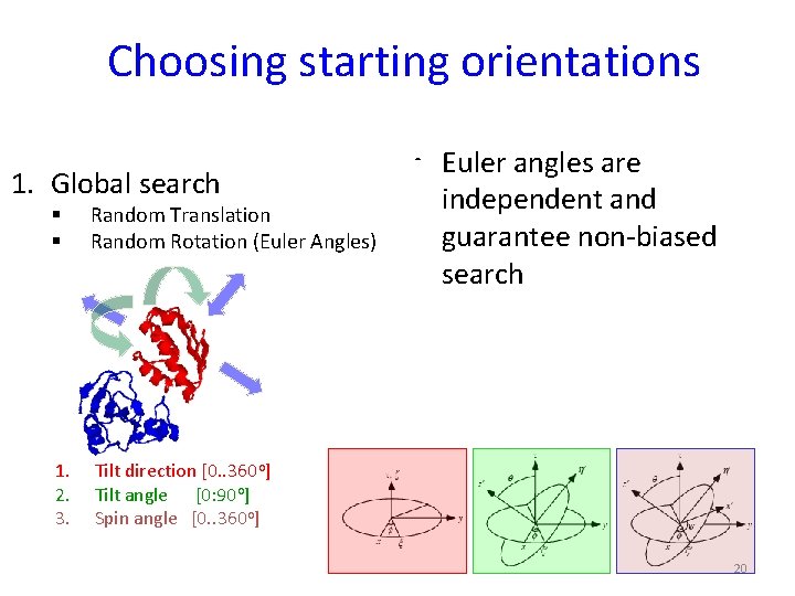 Choosing starting orientations 1. Global search § § Random Translation Random Rotation (Euler Angles)