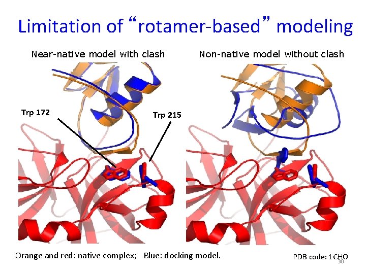 Limitation of “rotamer-based” modeling Near-native model with clash Trp 172 Non-native model without clash