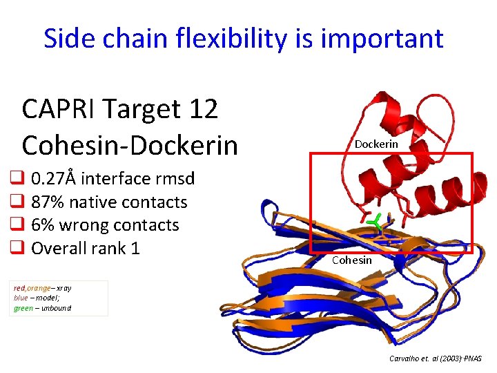 Side chain flexibility is important CAPRI Target 12 Cohesin-Dockerin q 0. 27Å interface rmsd