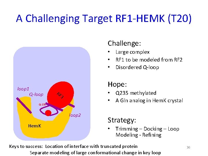 A Challenging Target RF 1 -HEMK (T 20) Challenge: RF 1 Q-loop Q 252