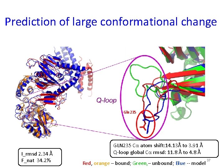 Prediction of large conformational change Gln 235 I_rmsd 2. 34 Ǻ F_nat 34. 2%