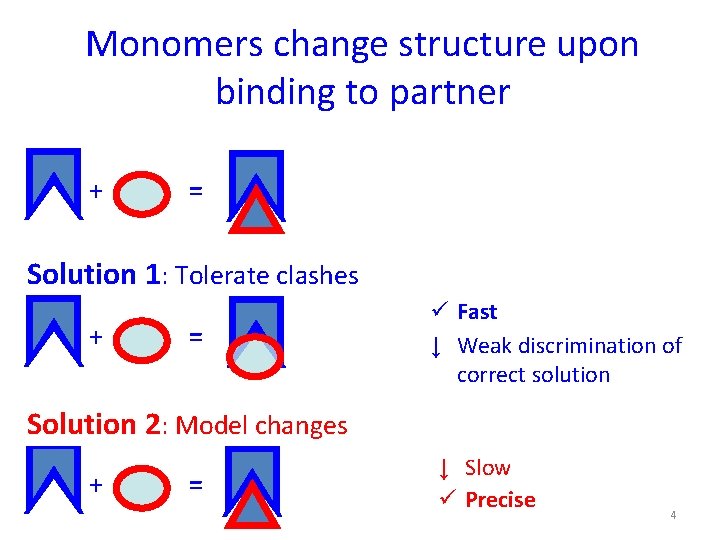 Monomers change structure upon binding to partner + = Solution 1: Tolerate clashes +