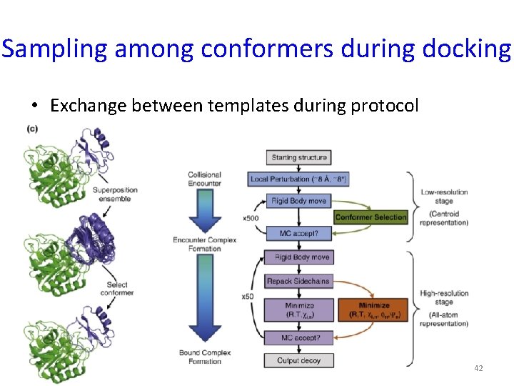 Sampling among conformers during docking • Exchange between templates during protocol 42 