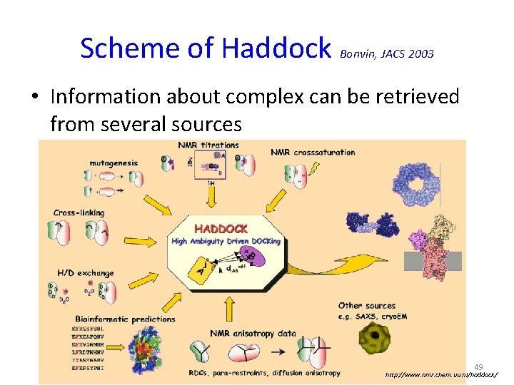 Scheme of Haddock Bonvin, JACS 2003 • Information about complex can be retrieved from