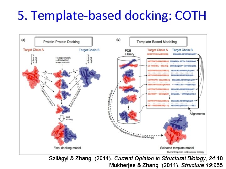 5. Template-based docking: COTH Szilágyi & Zhang (2014). Current Opinion in Structural Biology, 24: