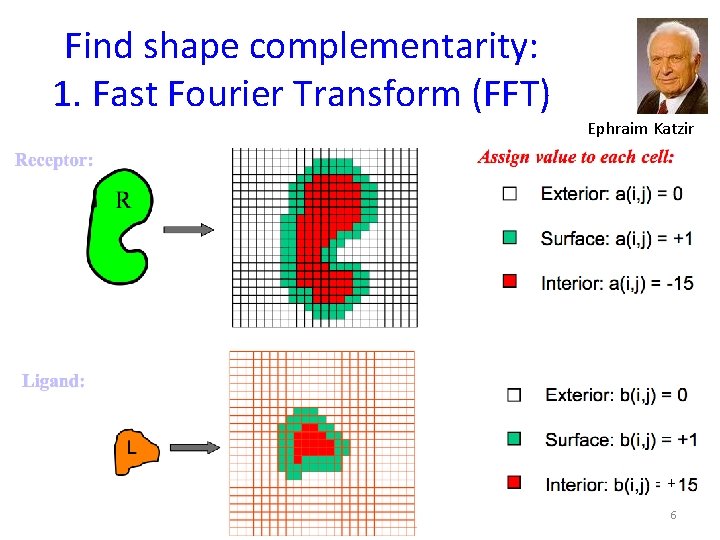 Find shape complementarity: 1. Fast Fourier Transform (FFT) Ephraim Katzir + 6 