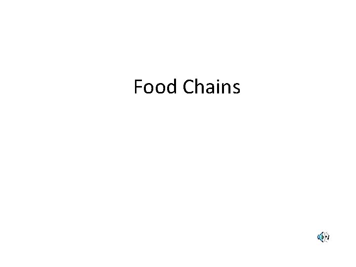 Food Chains 