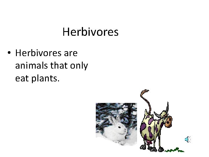 Herbivores • Herbivores are animals that only eat plants. 