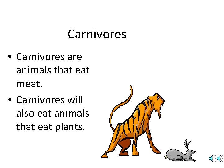 Carnivores • Carnivores are animals that eat meat. • Carnivores will also eat animals