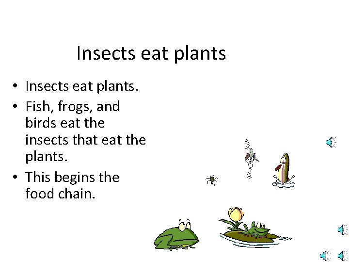 Insects eat plants • Insects eat plants. • Fish, frogs, and birds eat the