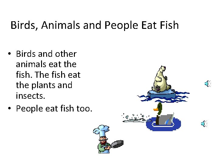 Birds, Animals and People Eat Fish • Birds and other animals eat the fish.