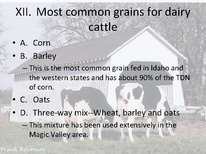 XII. Most common grains for dairy cattle • A. Corn • B. Barley –