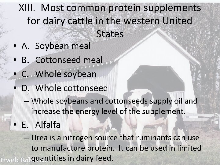  • • XIII. Most common protein supplements for dairy cattle in the western