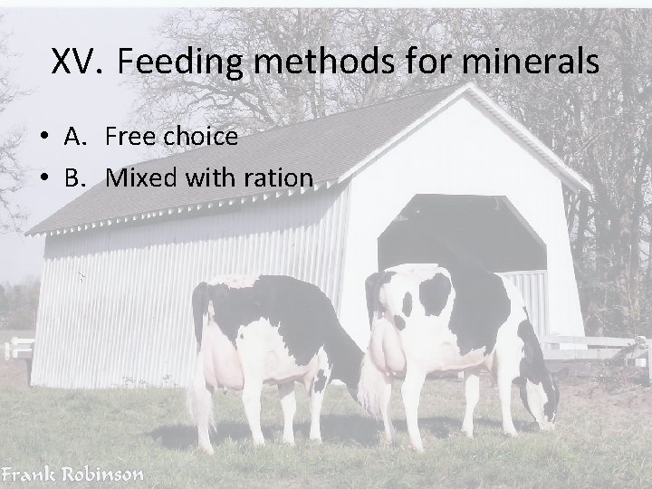 XV. Feeding methods for minerals • A. Free choice • B. Mixed with ration