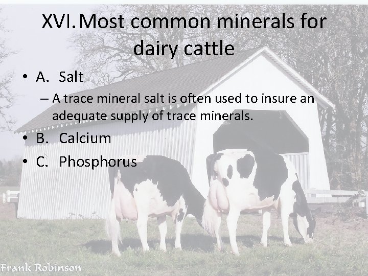 XVI. Most common minerals for dairy cattle • A. Salt – A trace mineral