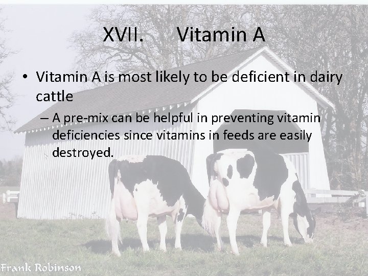 XVII. Vitamin A • Vitamin A is most likely to be deficient in dairy
