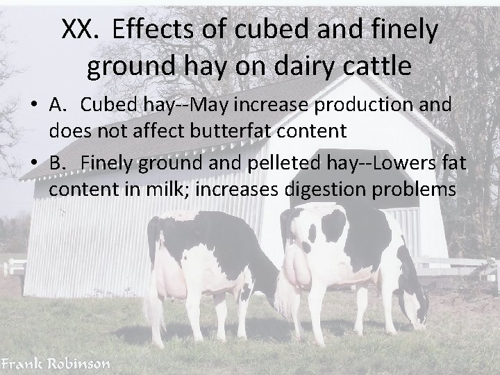 XX. Effects of cubed and finely ground hay on dairy cattle • A. Cubed