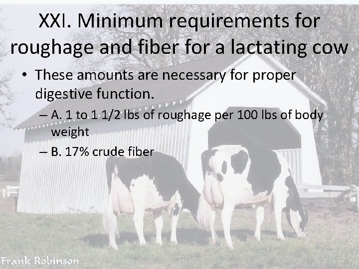 XXI. Minimum requirements for roughage and fiber for a lactating cow • These amounts
