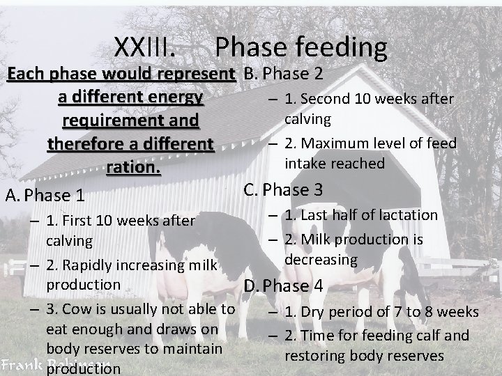 XXIII. Phase feeding Each phase would represent B. Phase 2 a different energy –