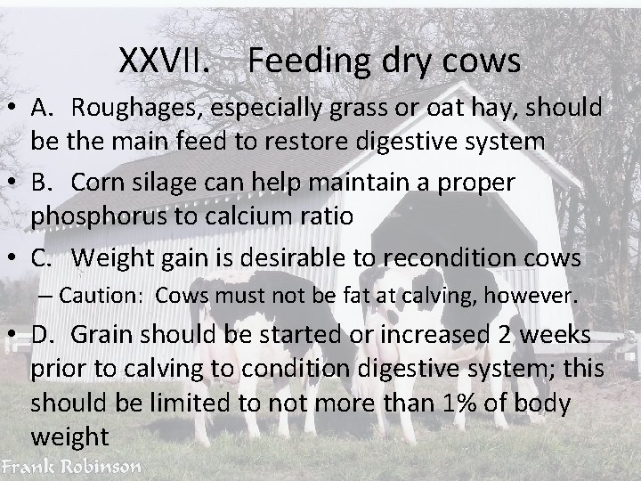 XXVII. Feeding dry cows • A. Roughages, especially grass or oat hay, should be