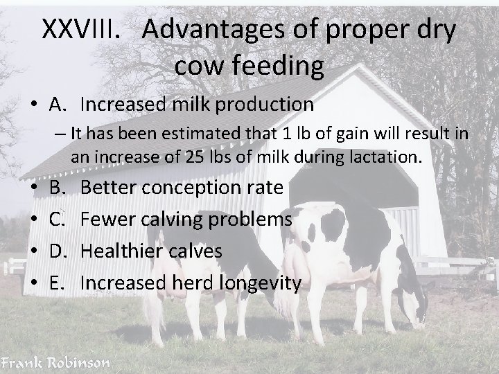 XXVIII. Advantages of proper dry cow feeding • A. Increased milk production – It