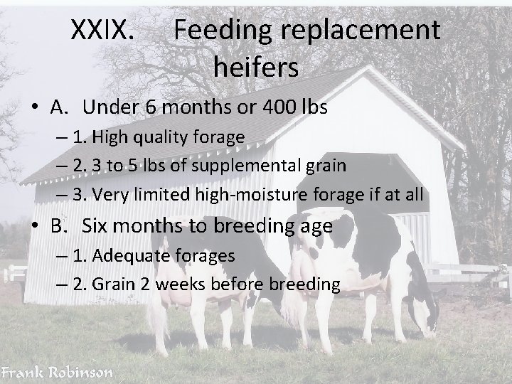 XXIX. Feeding replacement heifers • A. Under 6 months or 400 lbs – 1.