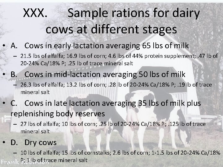 XXX. Sample rations for dairy cows at different stages • A. Cows in early