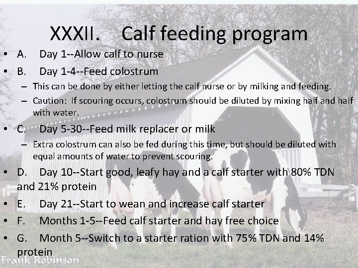 XXXII. Calf feeding program • A. • B. Day 1 --Allow calf to nurse