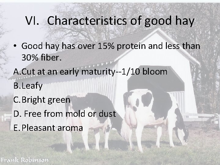 VI. Characteristics of good hay • Good hay has over 15% protein and less