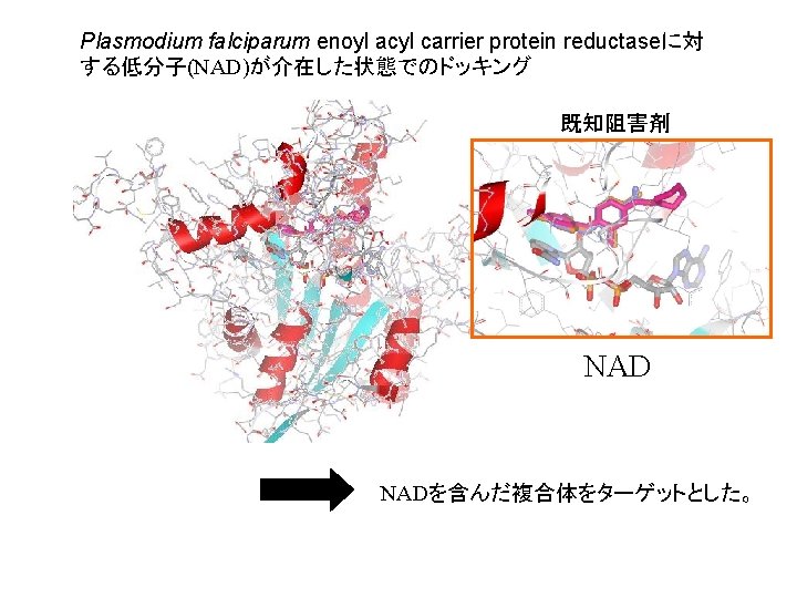 3 Dimensional Molecular Structure For The Life Science