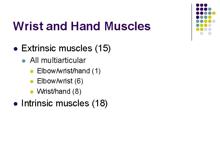 Wrist and Hand Muscles l Extrinsic muscles (15) l All multiarticular l l Elbow/wrist/hand Wrist and Hand Muscles l Extrinsic muscles (15) l All multiarticular l l Elbow/wrist/hand