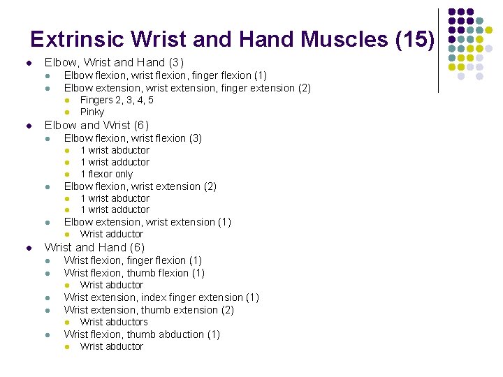 Extrinsic Wrist and Hand Muscles (15) l Elbow, Wrist and Hand (3) l l Extrinsic Wrist and Hand Muscles (15) l Elbow, Wrist and Hand (3) l l