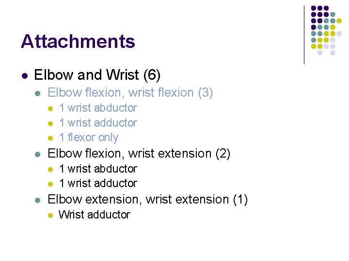 Attachments l Elbow and Wrist (6) l Elbow flexion, wrist flexion (3) l l Attachments l Elbow and Wrist (6) l Elbow flexion, wrist flexion (3) l l