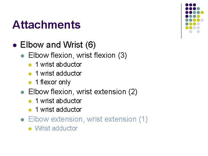 Attachments l Elbow and Wrist (6) l Elbow flexion, wrist flexion (3) l l Attachments l Elbow and Wrist (6) l Elbow flexion, wrist flexion (3) l l