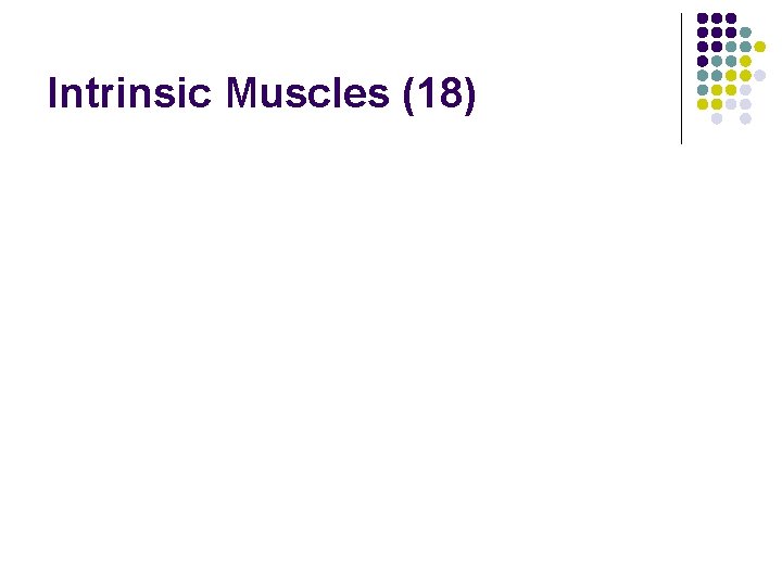 Intrinsic Muscles (18) Intrinsic Muscles (18)