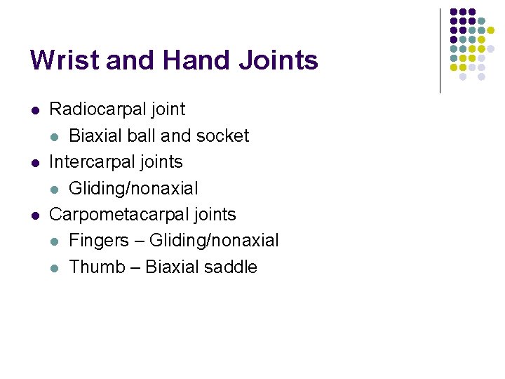 Wrist and Hand Joints l l l Radiocarpal joint l Biaxial ball and socket Wrist and Hand Joints l l l Radiocarpal joint l Biaxial ball and socket