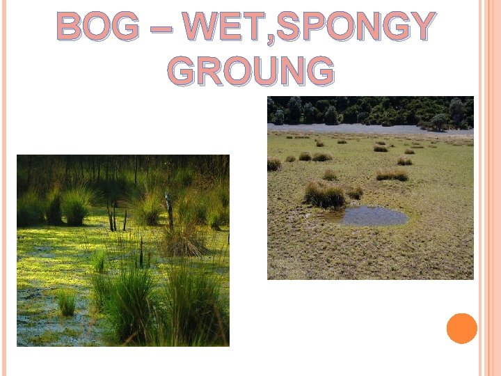 BOG – WET, SPONGY GROUNG 